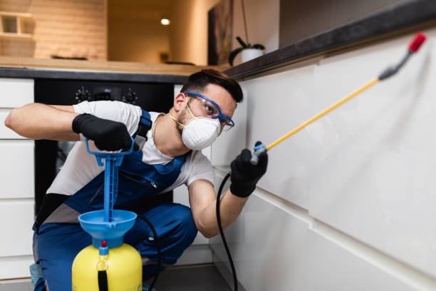 Best Best Pest Control Companies  in Lindenhurst, NY