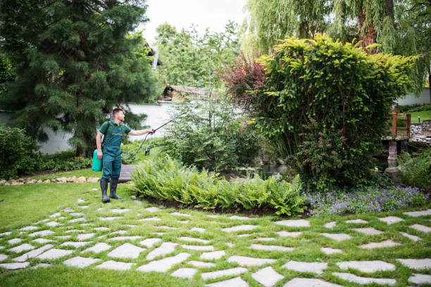 Best Emergency Pest Control  in Lindenhurst, NY