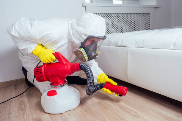 Professional Pest Control in Lindenhurst, NY