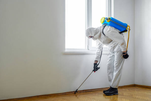 Best Mosquito Control Services  in Lindenhurst, NY