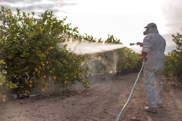 Best Pest Prevention Services  in Lindenhurst, NY