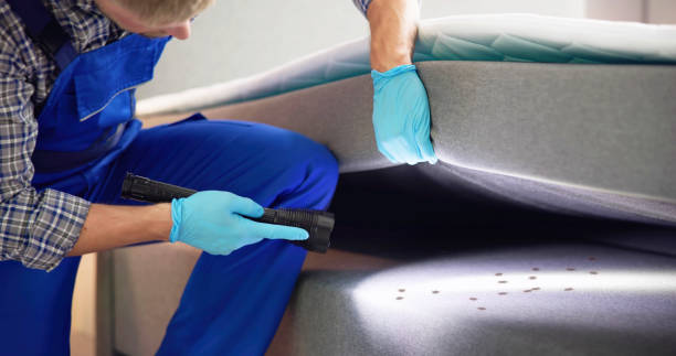 Best Wasp Removal Services  in Lindenhurst, NY
