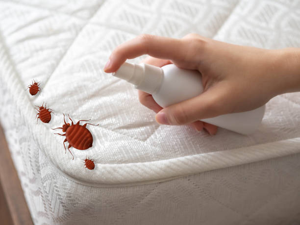 Pest Prevention Services in Lindenhurst, NY