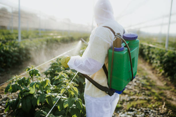 Best Local Pest Control Services  in Lindenhurst, NY